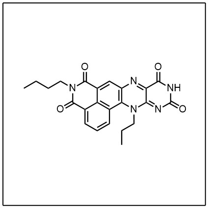 NpFR1 Probe